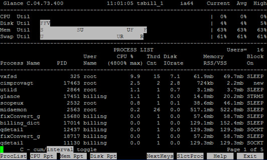 HP-UX在线性能监控工具GlancePlus介绍(一) - 王大头 - 王大头