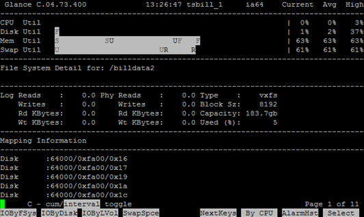 HP-UX在线性能监控工具GlancePlus介绍(一) - 王大头 - 王大头
