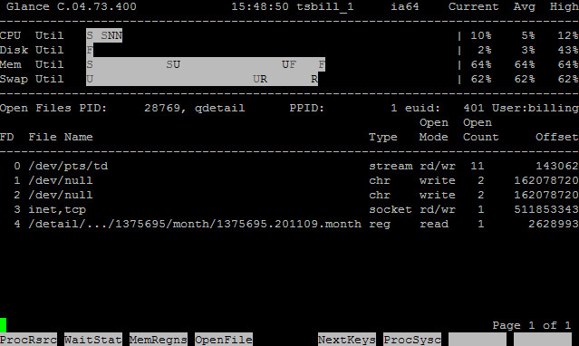 HP-UX在线性能监控工具GlancePlus介绍（二） - 王大头 - 王大头